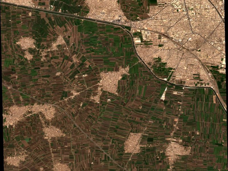 Satellite view of dense smallholder fields between canals and villages in the Nile Delta.