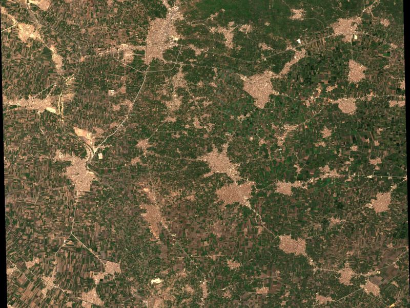 Satellite view of irrigated fields in the Fayoum basin.