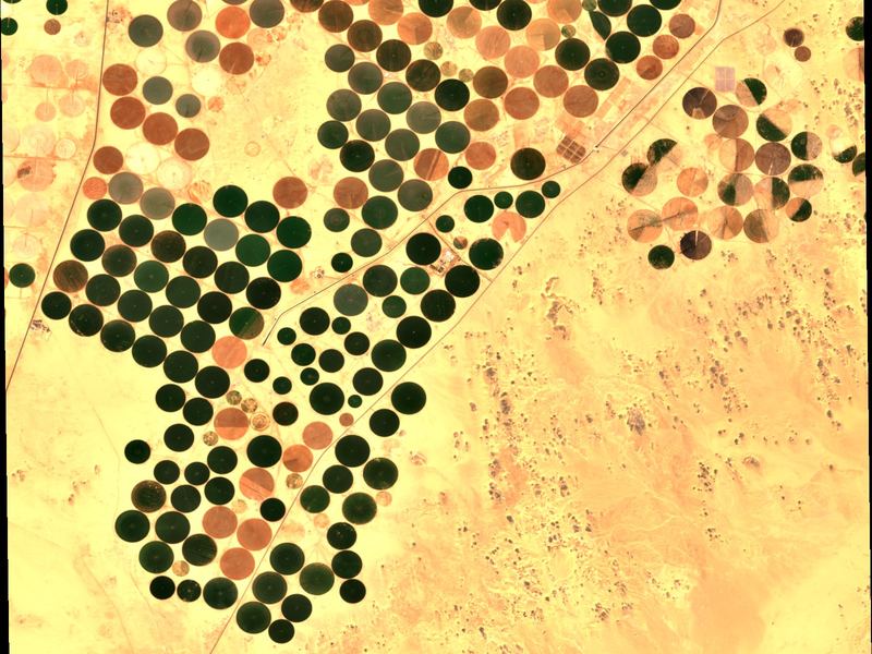 Satellite view of circular centre-pivot fields on reclaimed desert at Toshka.